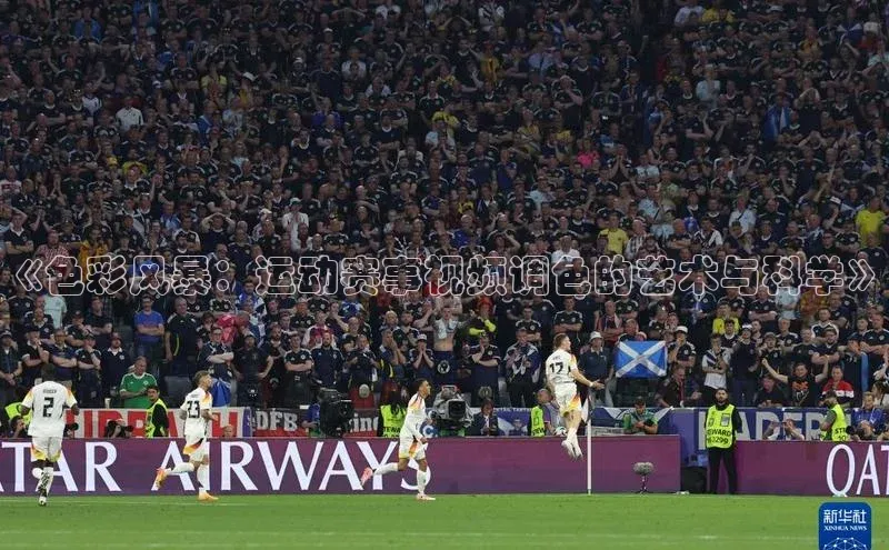 williamhill官网登录入口