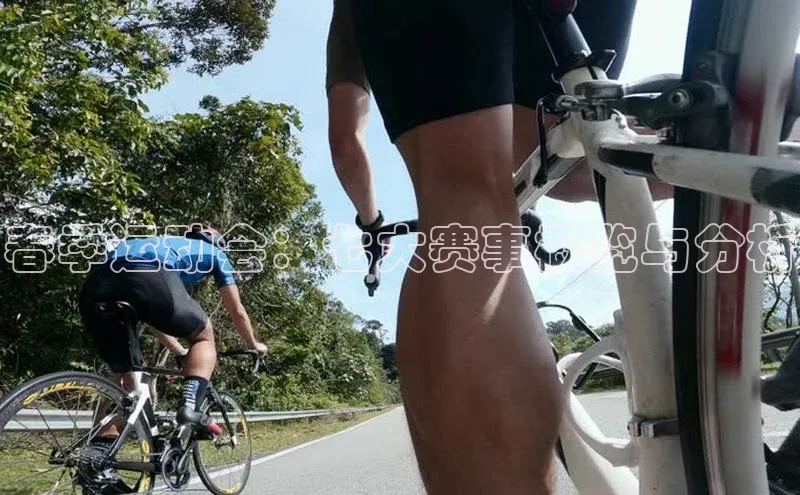 威廉希尔体育在线平台